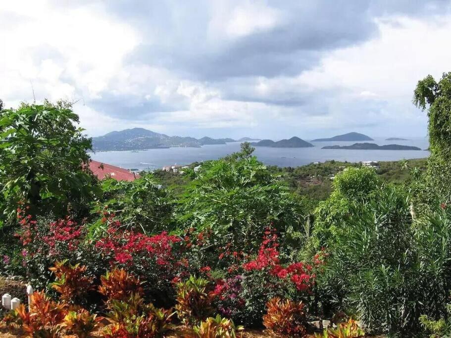Cruz Bay Cielo Vista Villa 3 Bdrm Sleeps 6 Heavenly View المظهر الخارجي الصورة